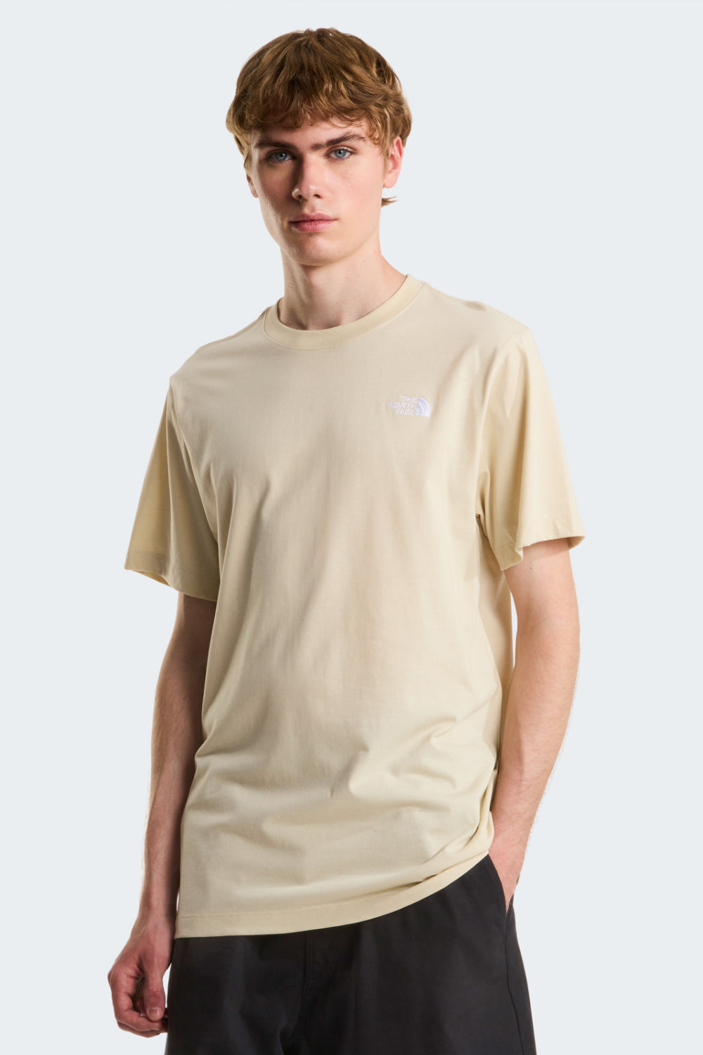 טישירט קצרה EVOLUTION SIMPLE DOME- בז' North Face