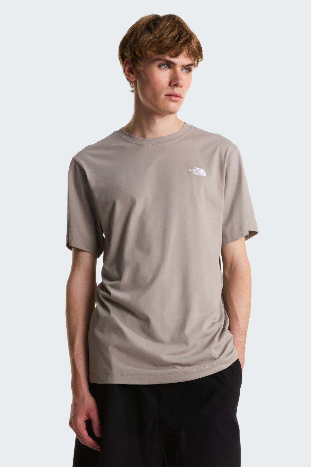 טישירט EVOLUTION SIMPLE DOME - אבן North Face